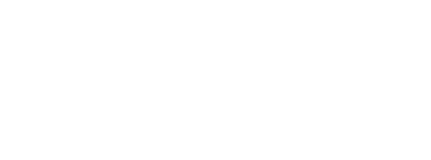 Aqua Shoes